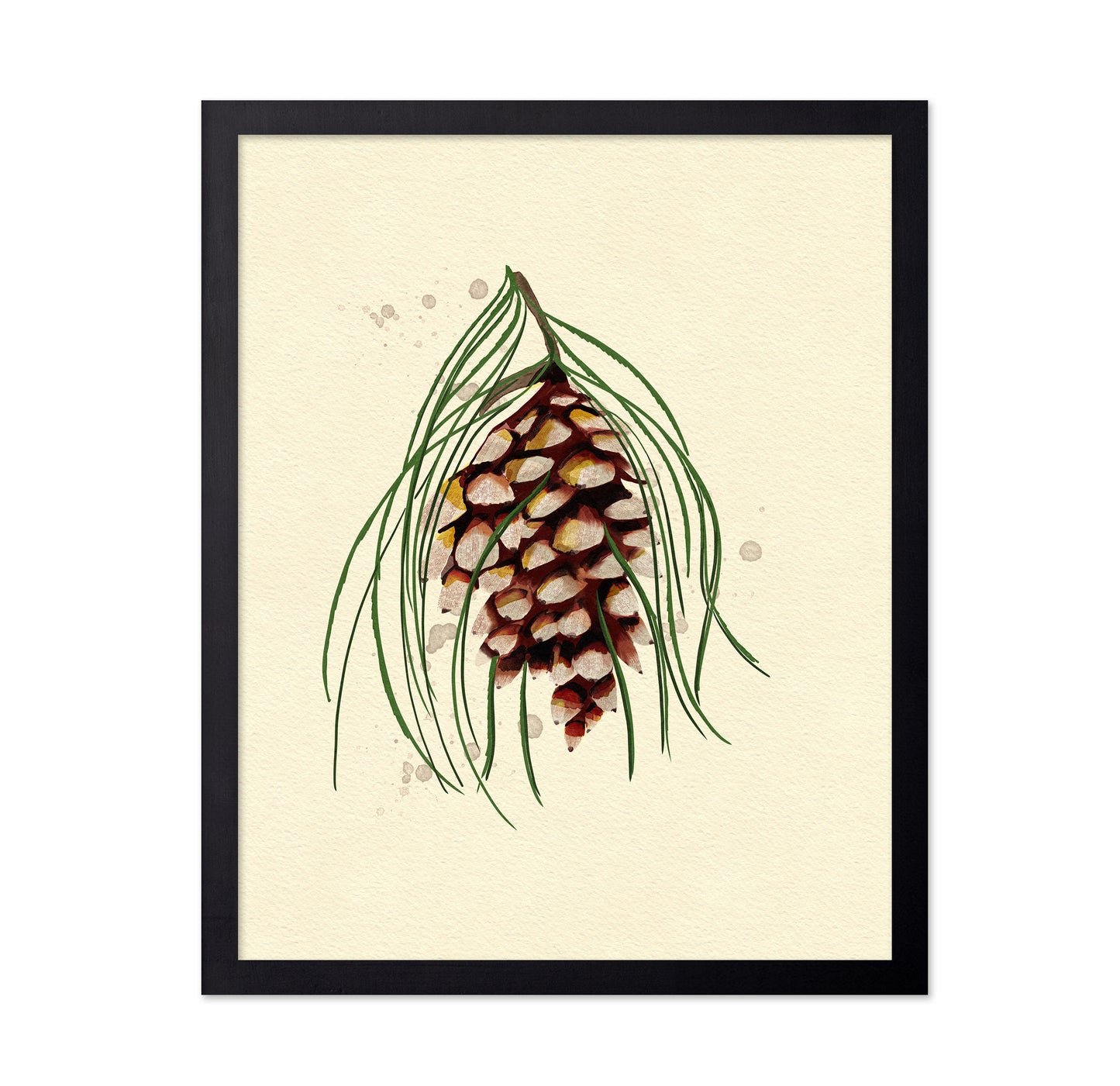 Maine White Pine Cone Copy