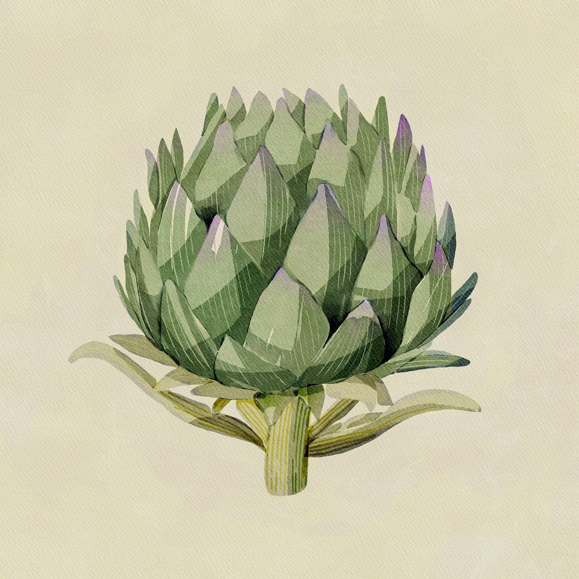 Artichoke