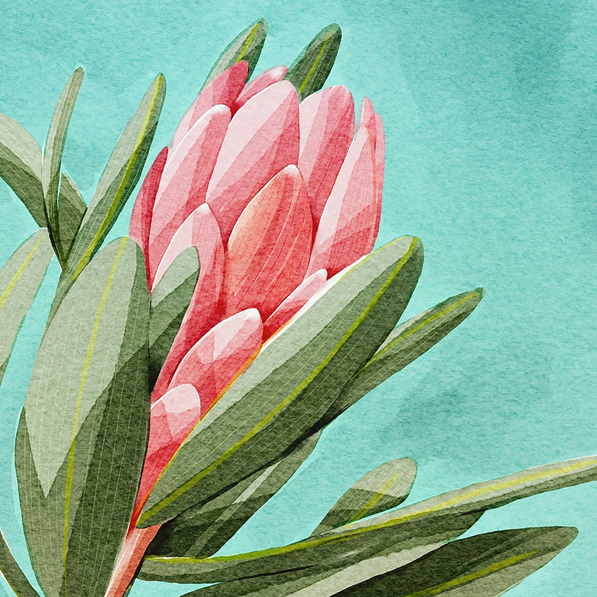 King Protea