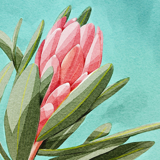 King Protea