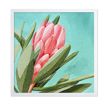 King Protea