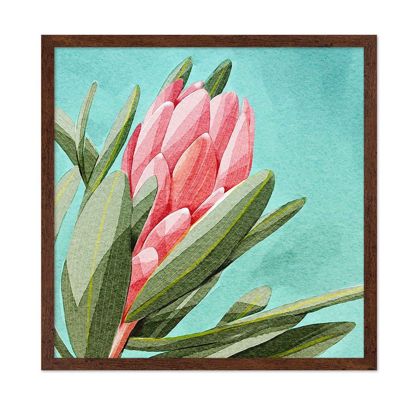 King Protea