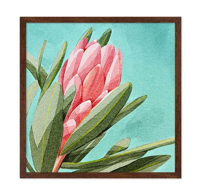 King Protea