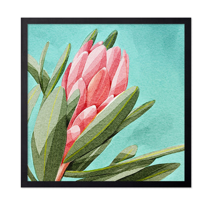 King Protea