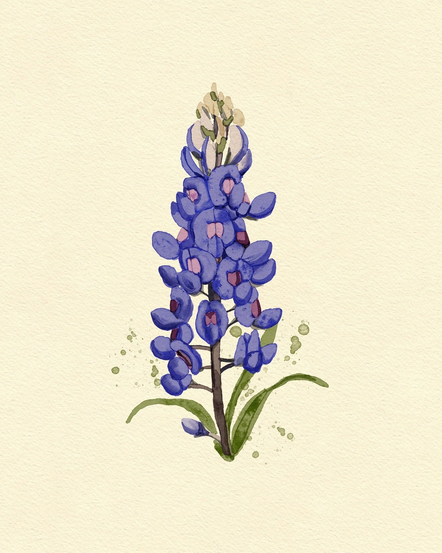 Texas Bluebonnet