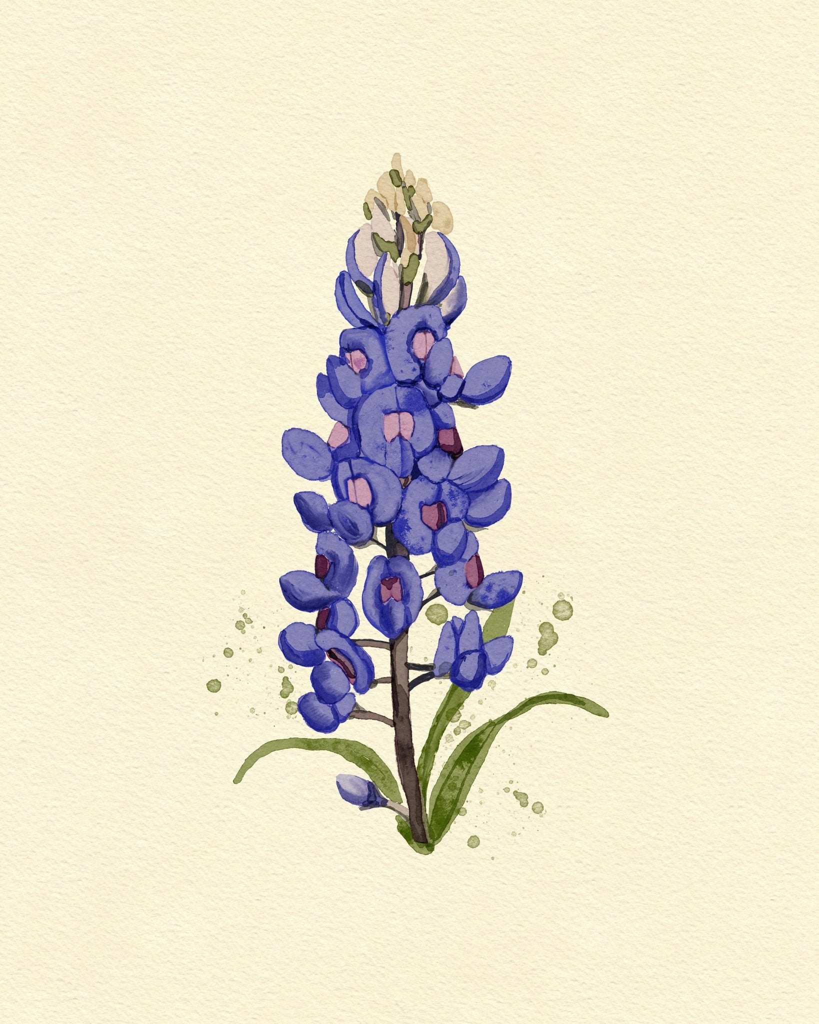 Texas Bluebonnet