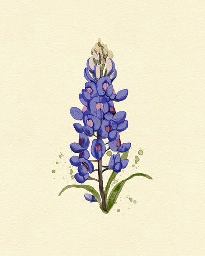 Texas Bluebonnet