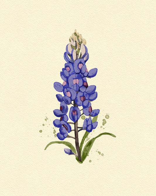 Texas Bluebonnet