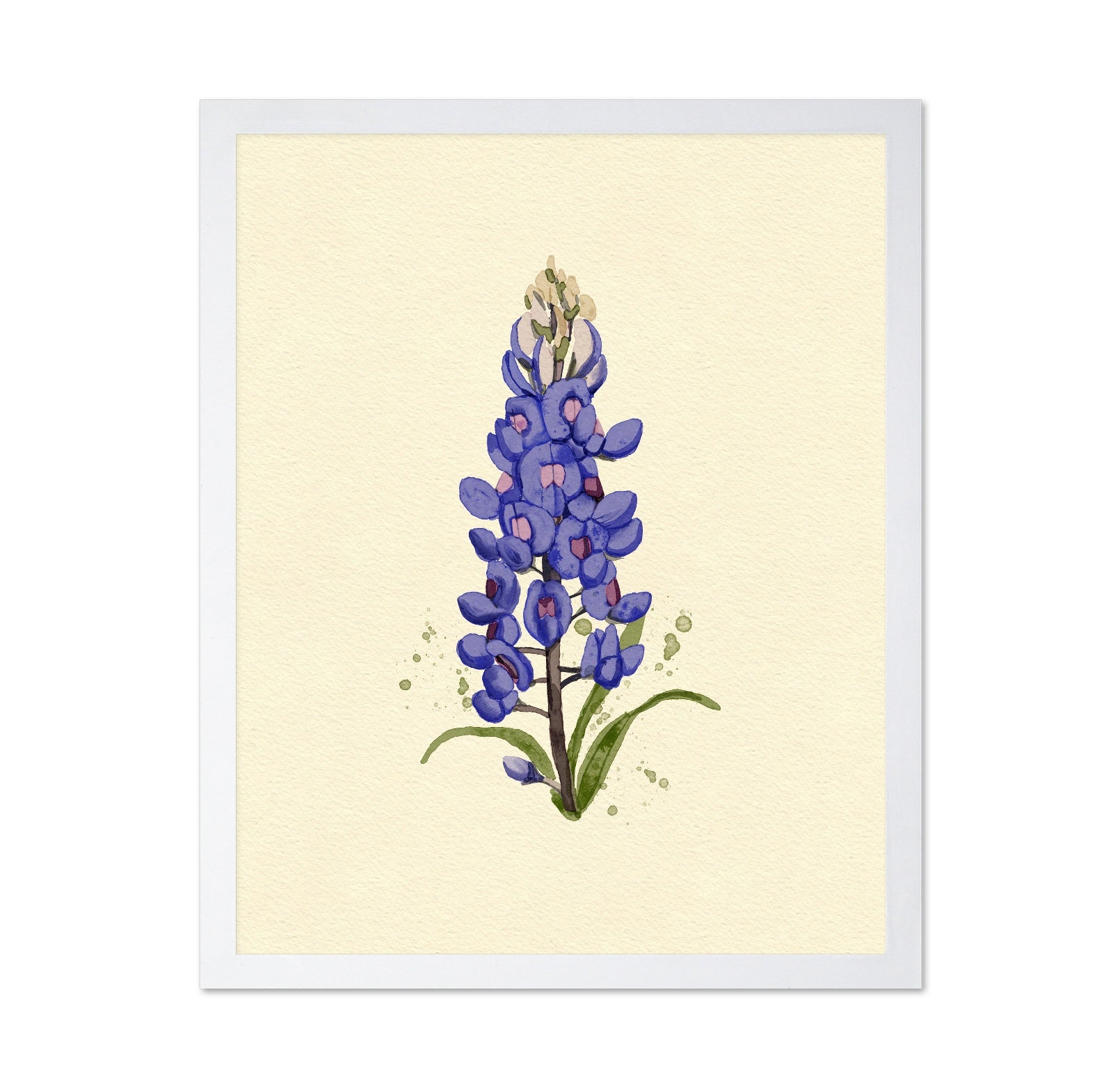 Texas Bluebonnet
