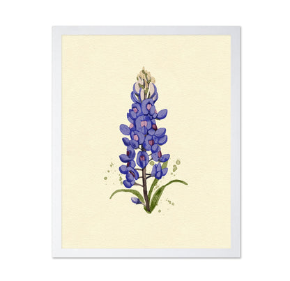 Texas Bluebonnet