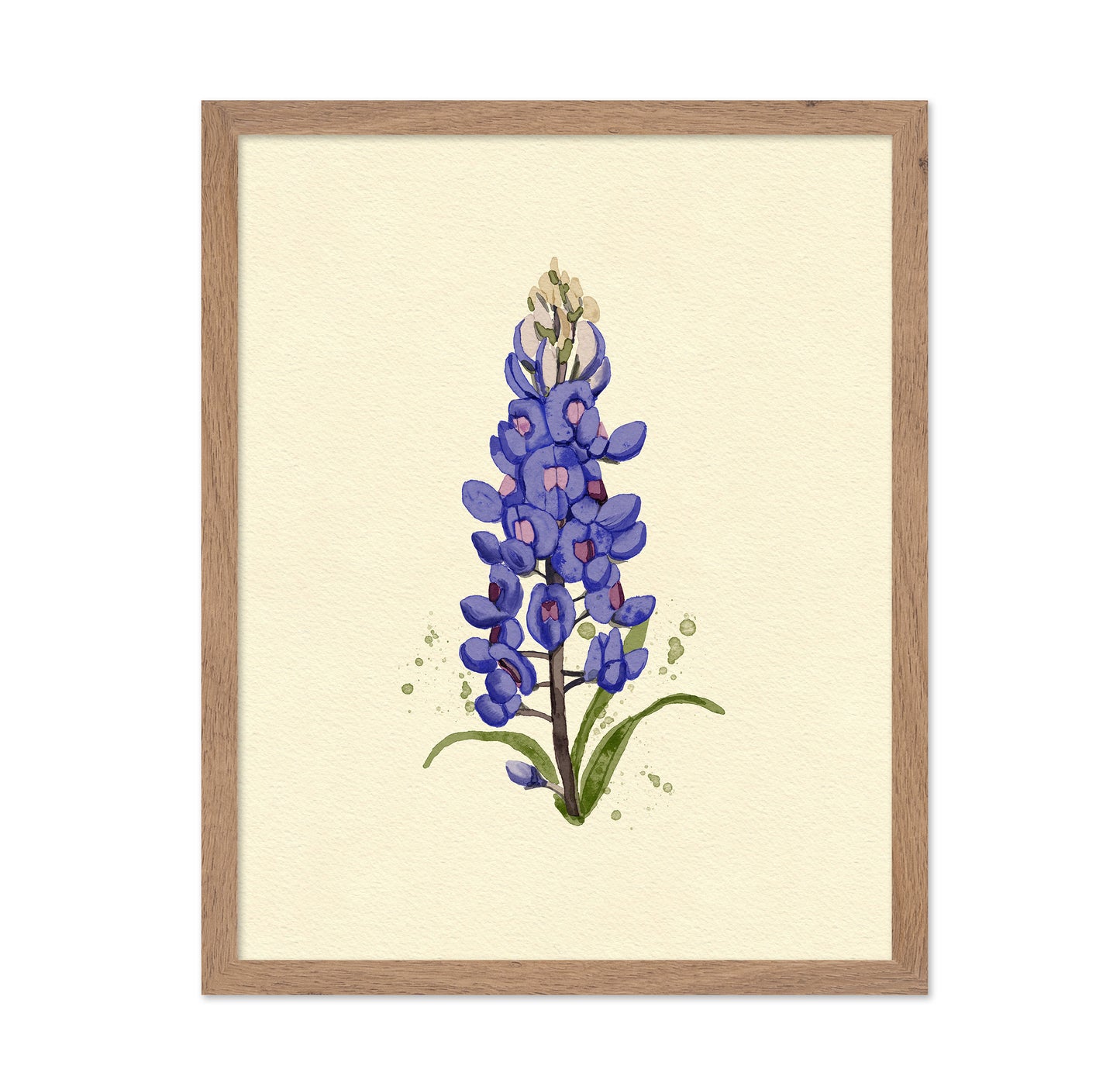 Texas Bluebonnet