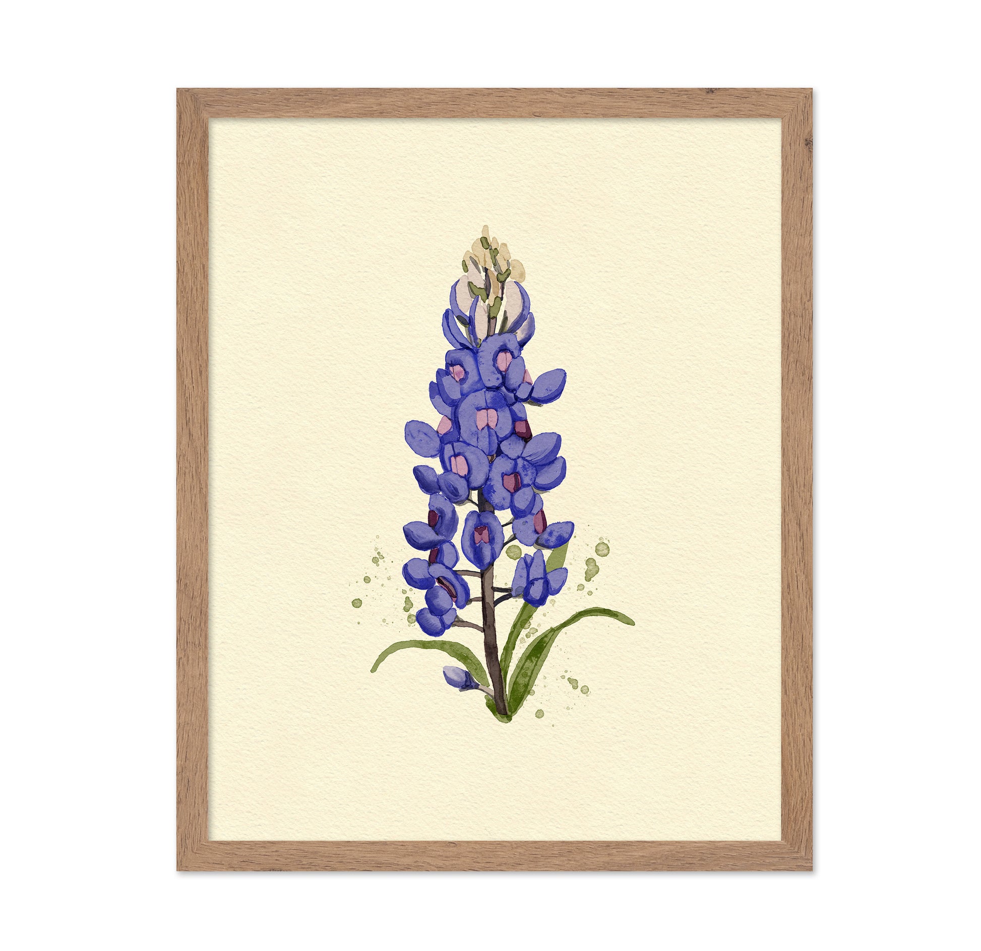Texas Bluebonnet