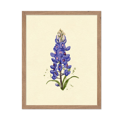Texas Bluebonnet