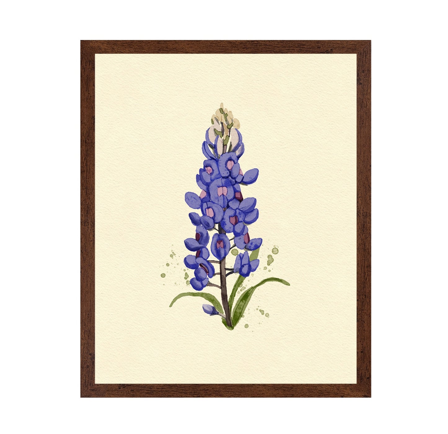 Texas Bluebonnet