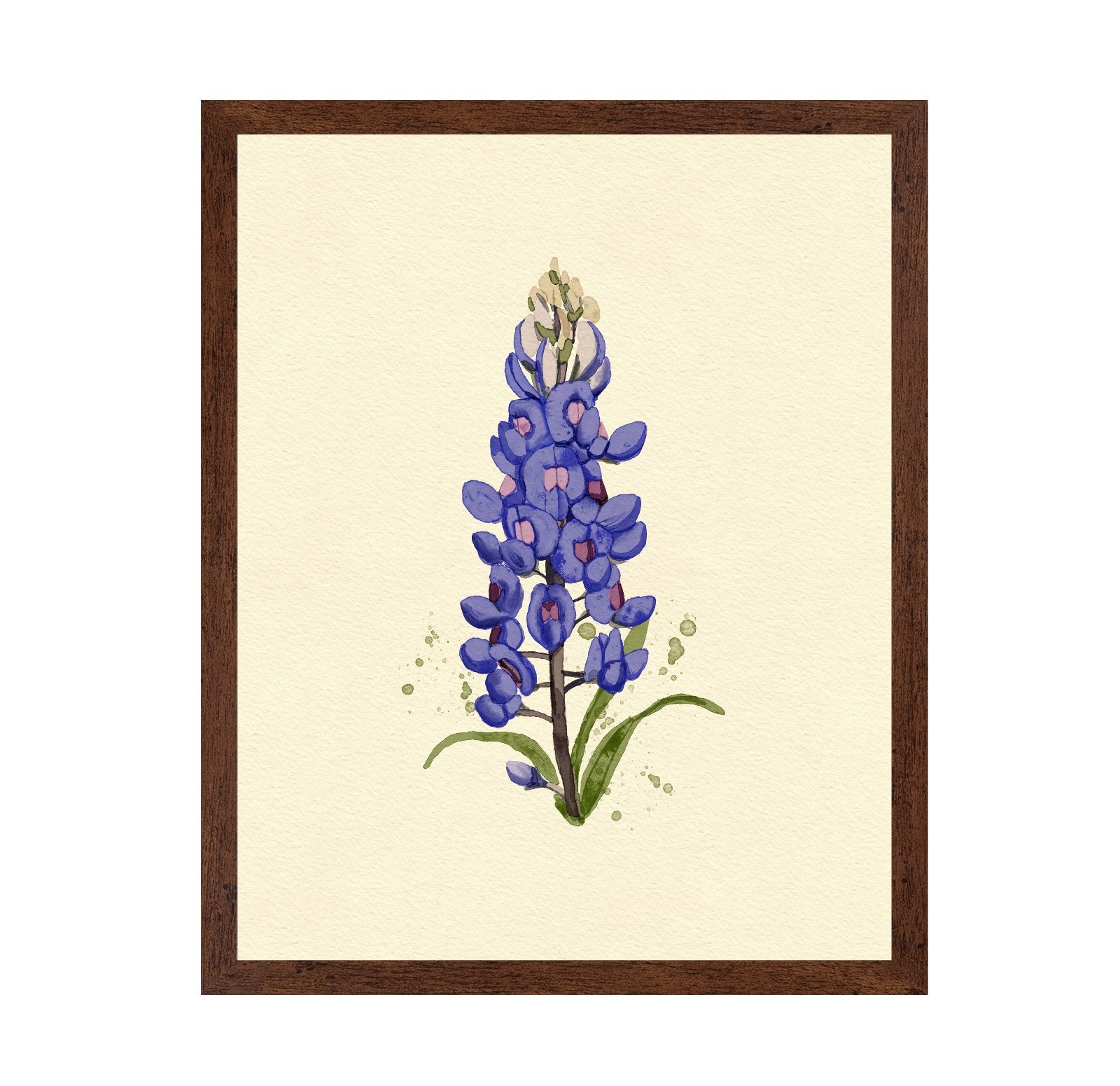 Texas Bluebonnet