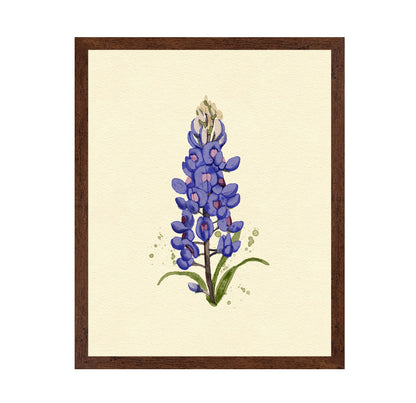Texas Bluebonnet