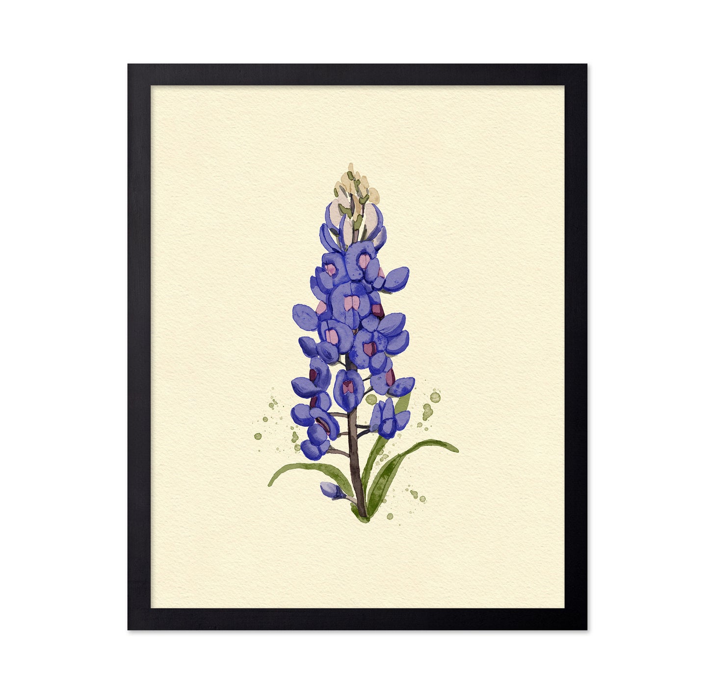 Texas Bluebonnet