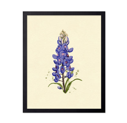 Texas Bluebonnet
