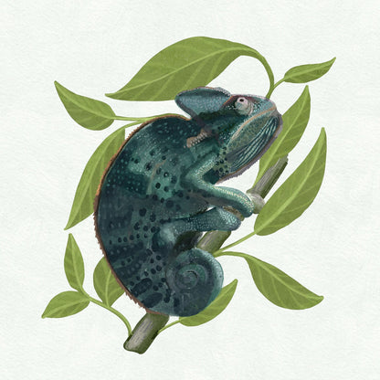 Chameleon
