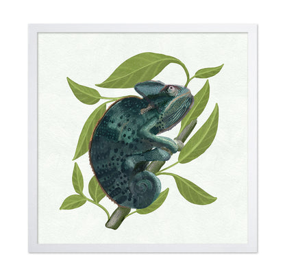 Chameleon