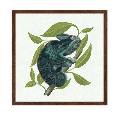 Chameleon