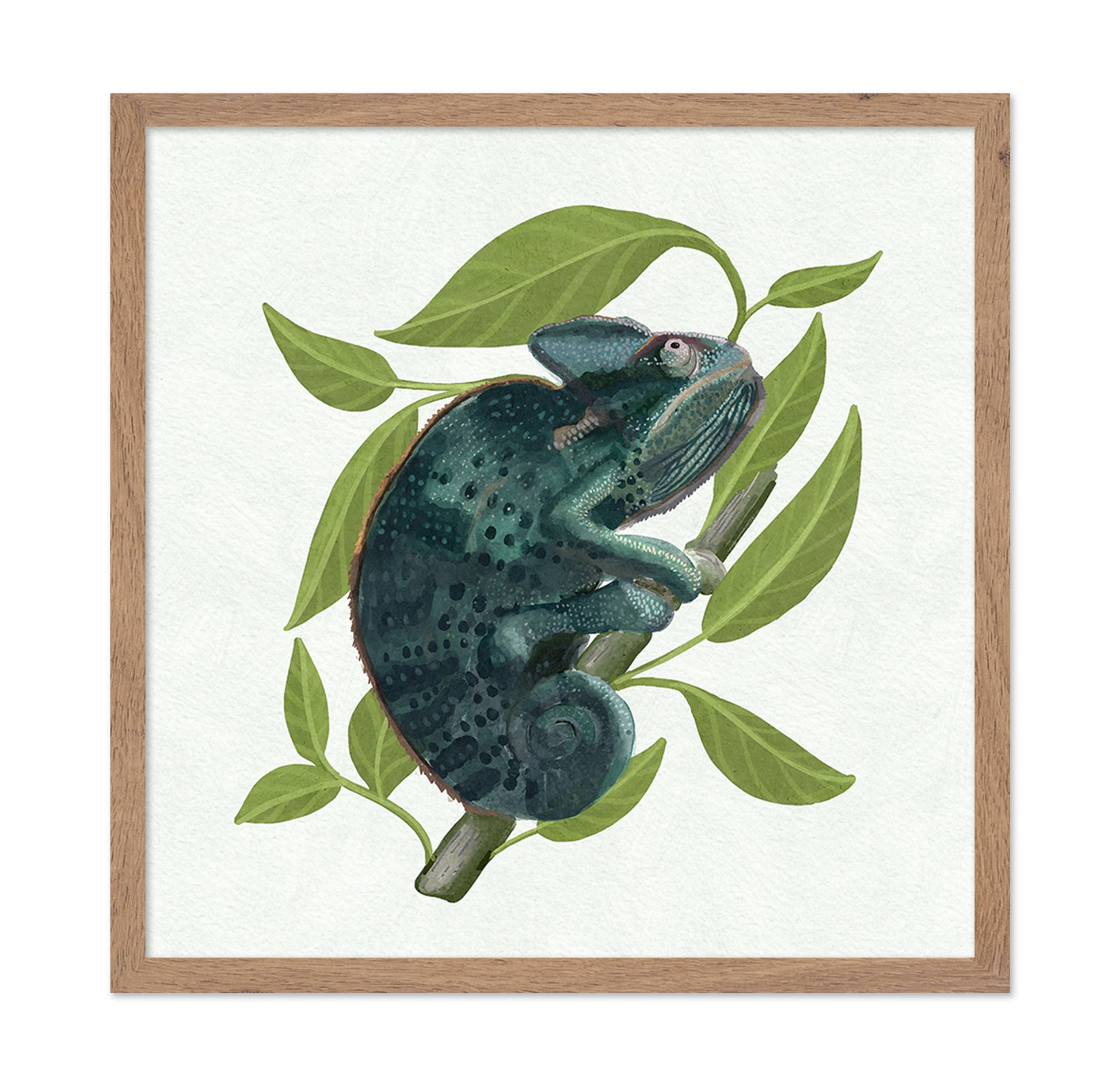 Chameleon