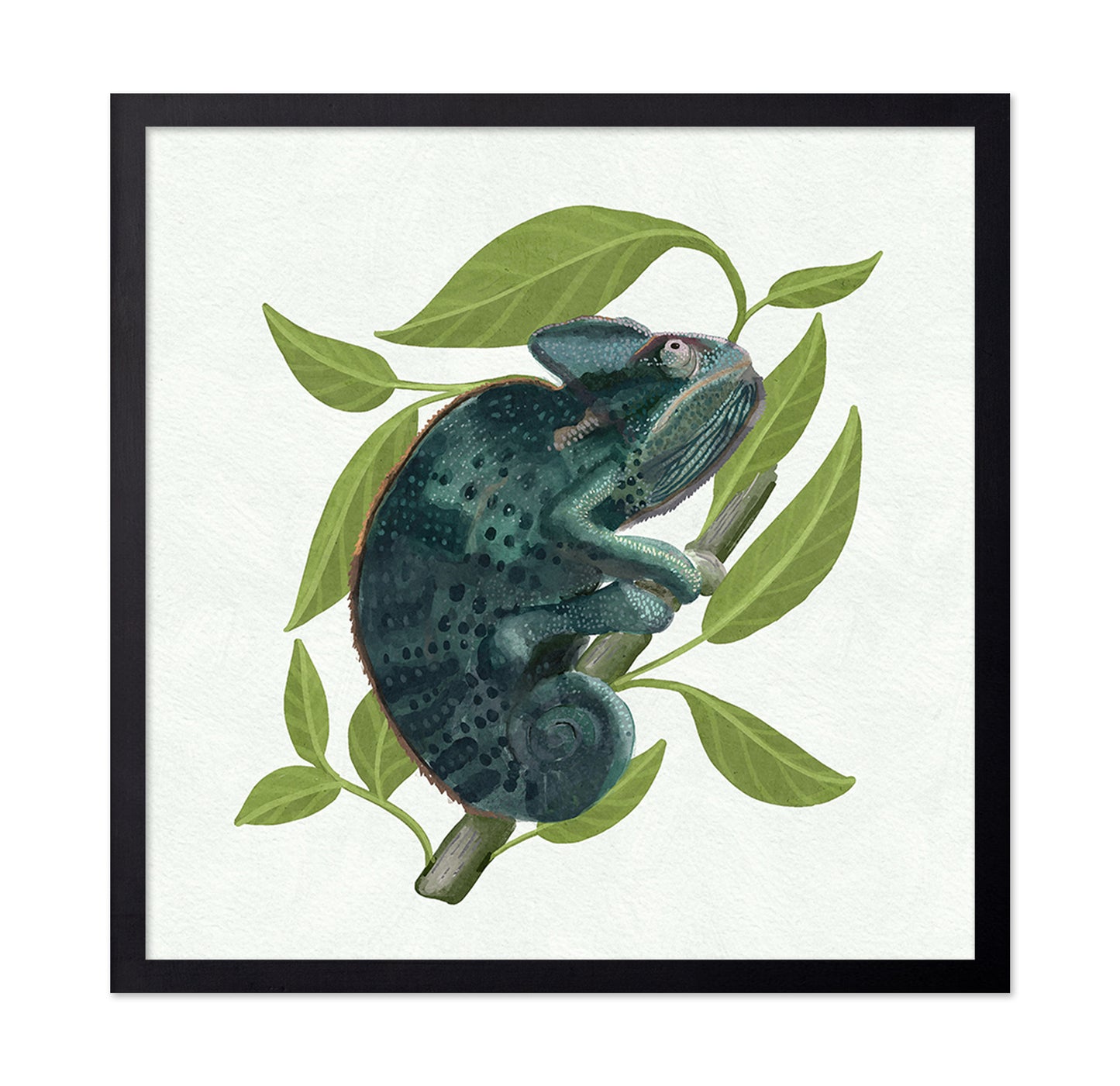 Chameleon
