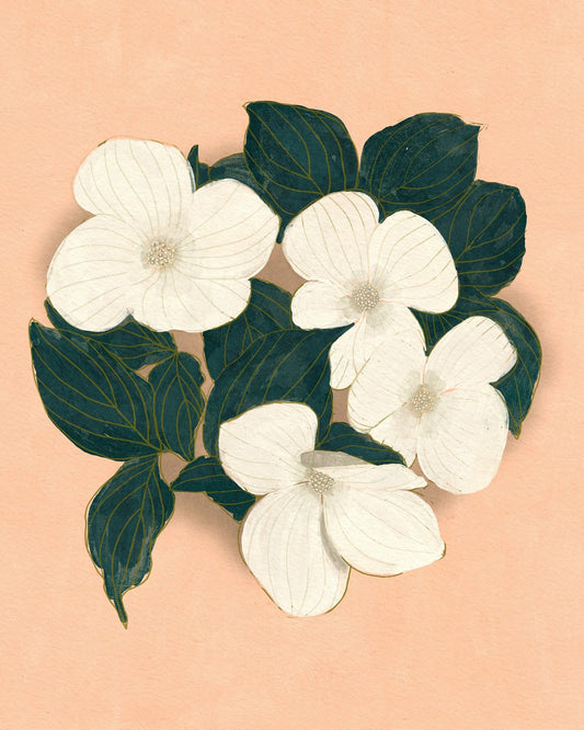 Dogwoods on Pink
