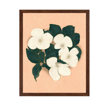 Dogwoods on Pink