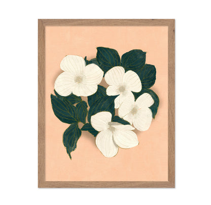 Dogwoods on Pink