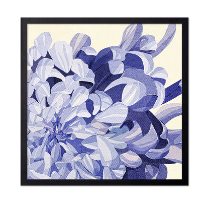 Chrysanthemum No 1
