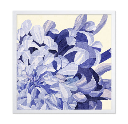Chrysanthemum No 1
