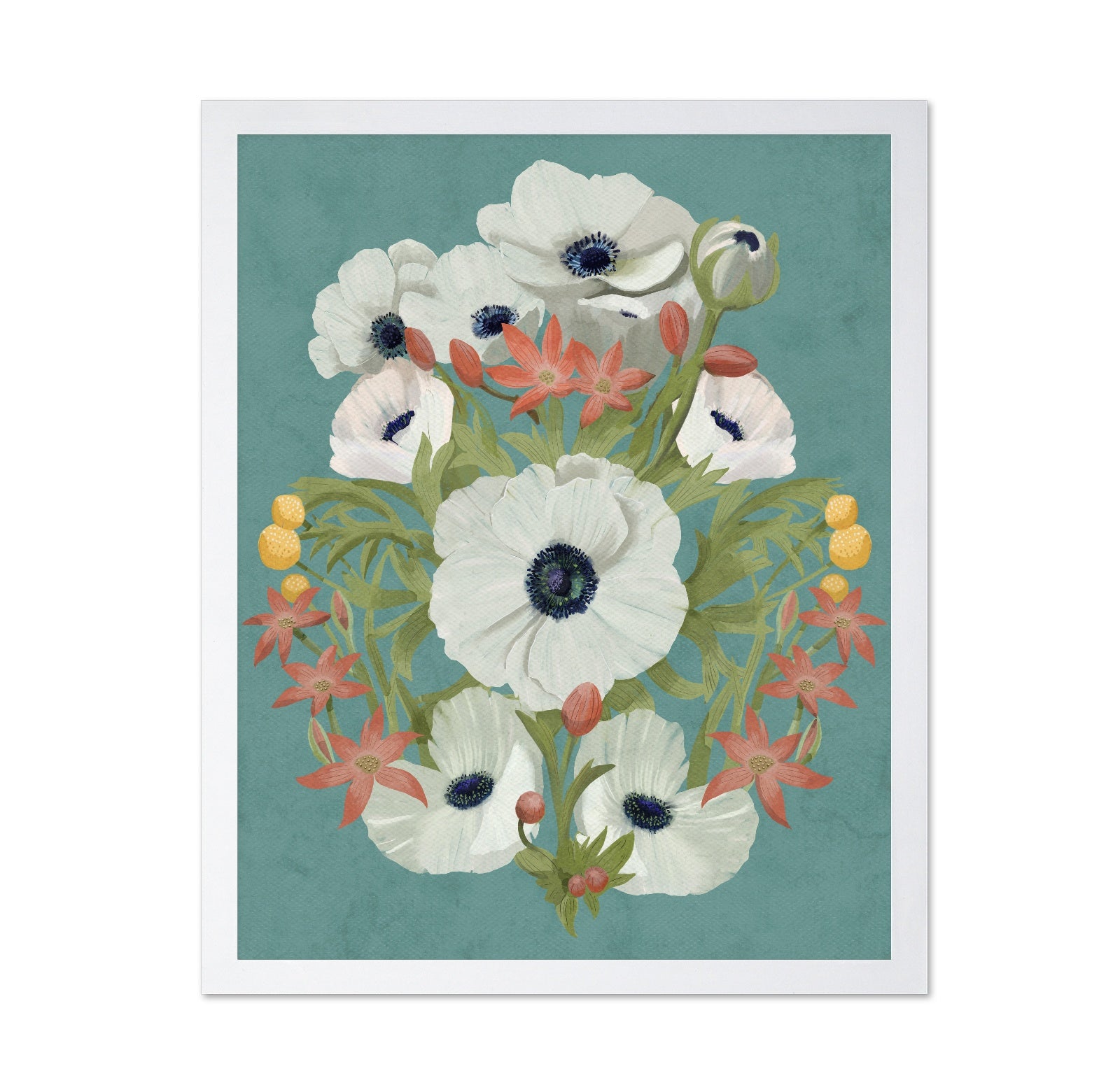 Anemone