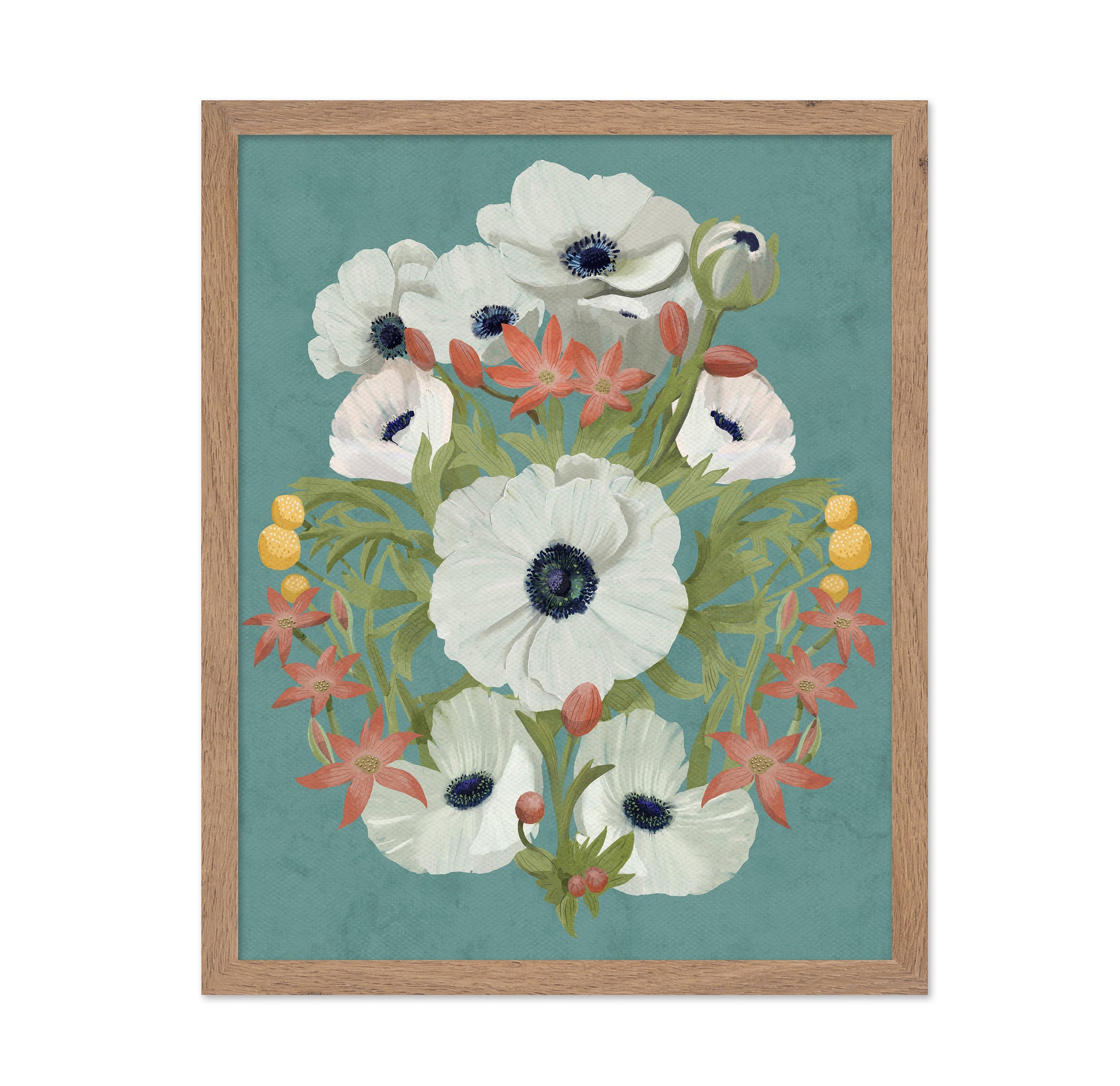 Anemone