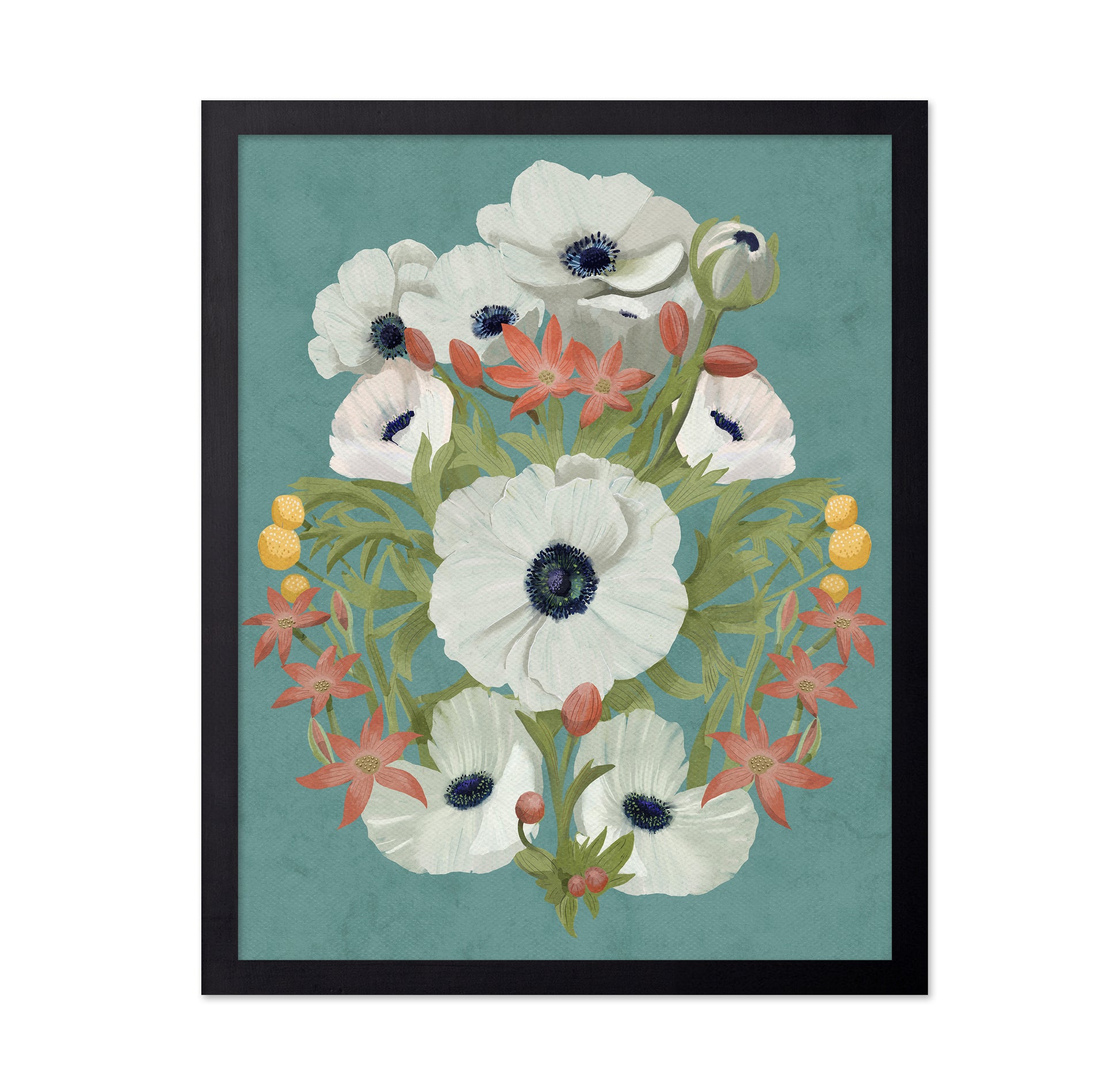 Anemone