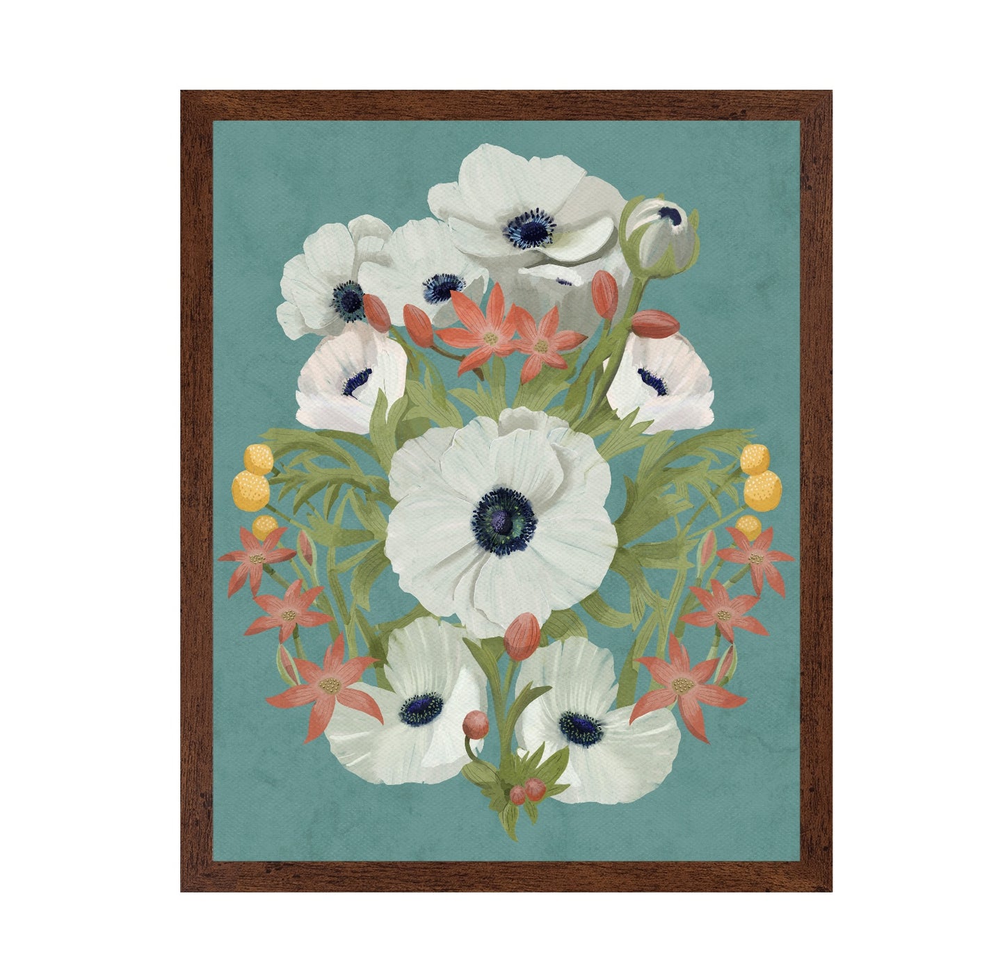 Anemone
