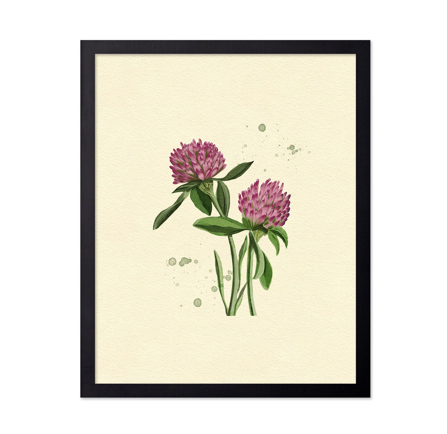 Red Clover