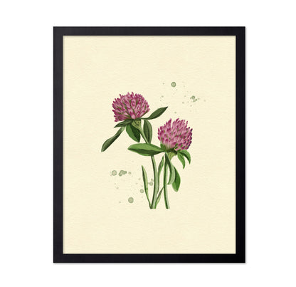 Red Clover