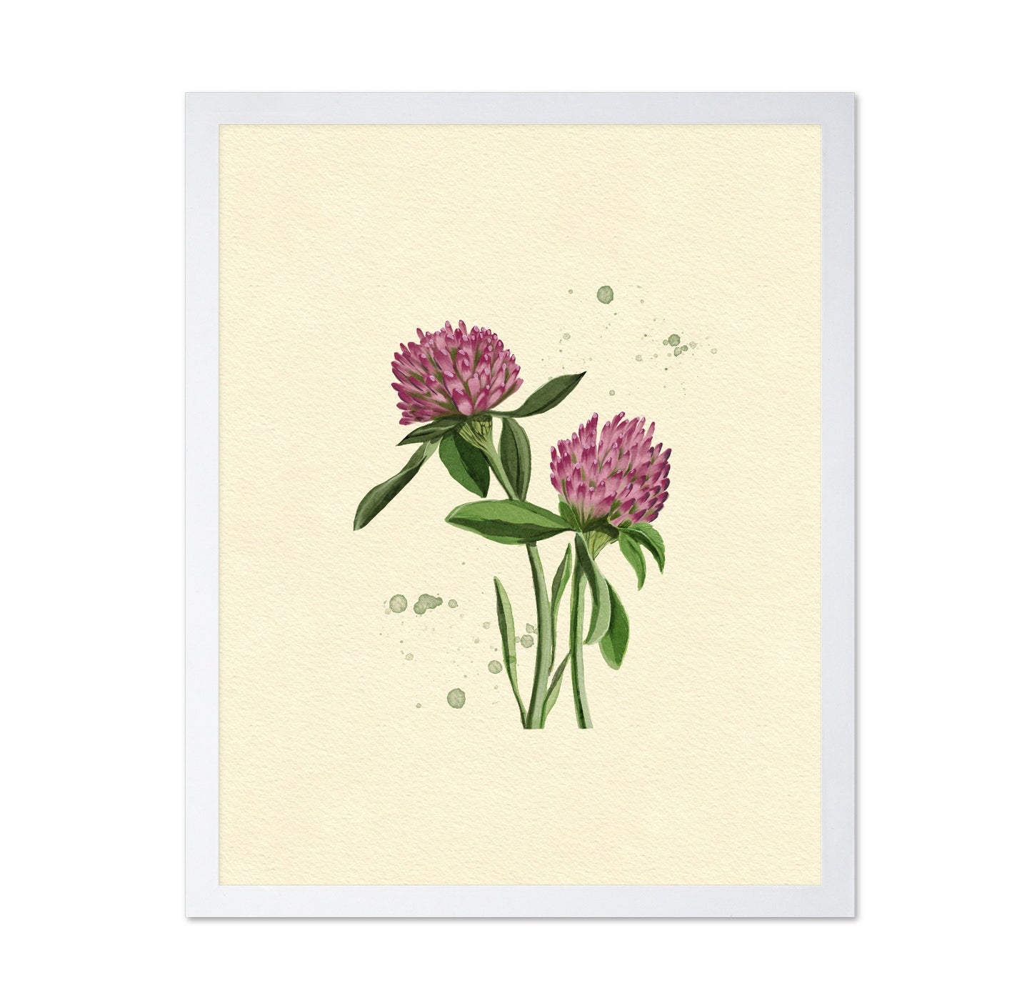 Red Clover