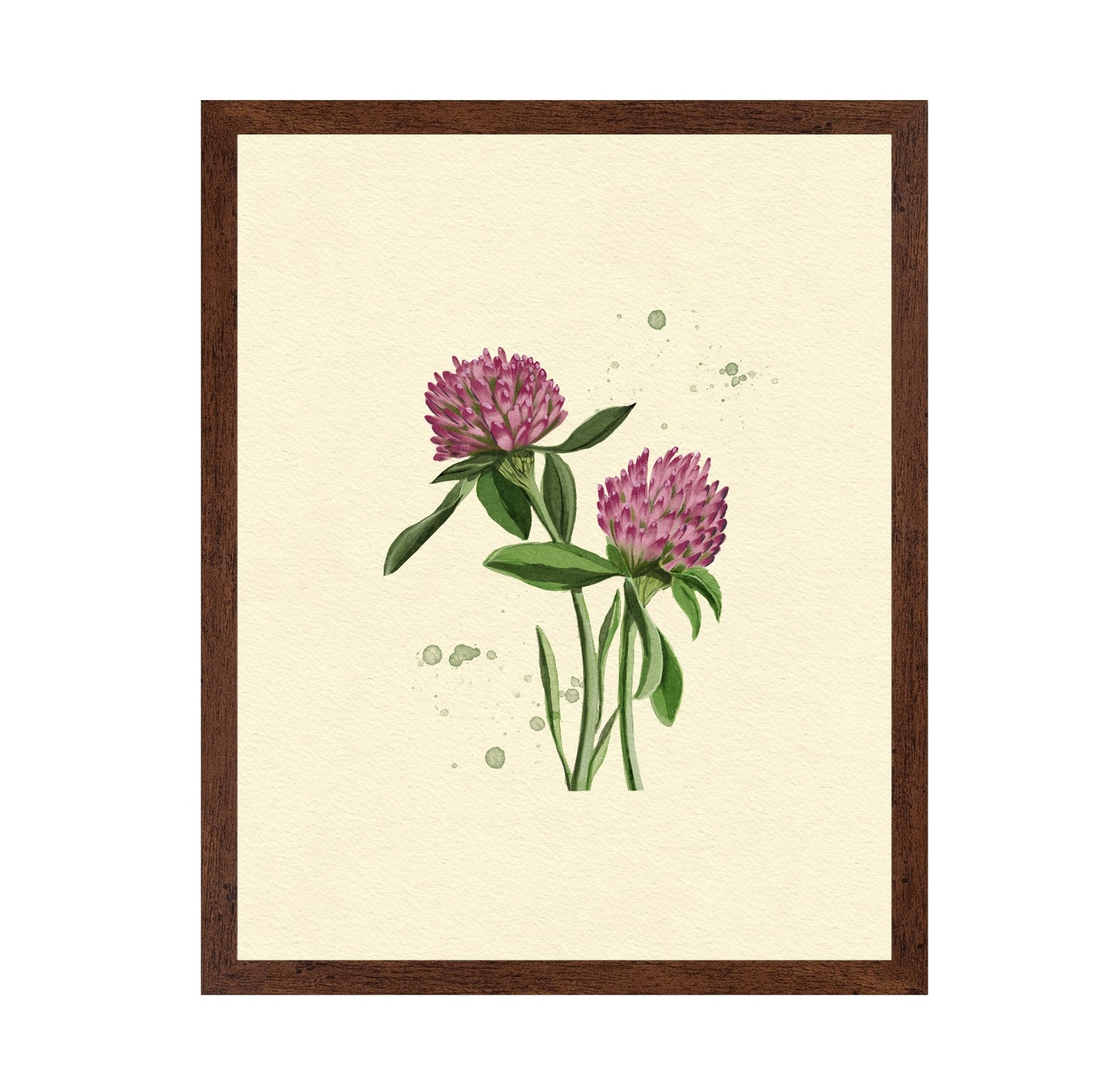 Red Clover