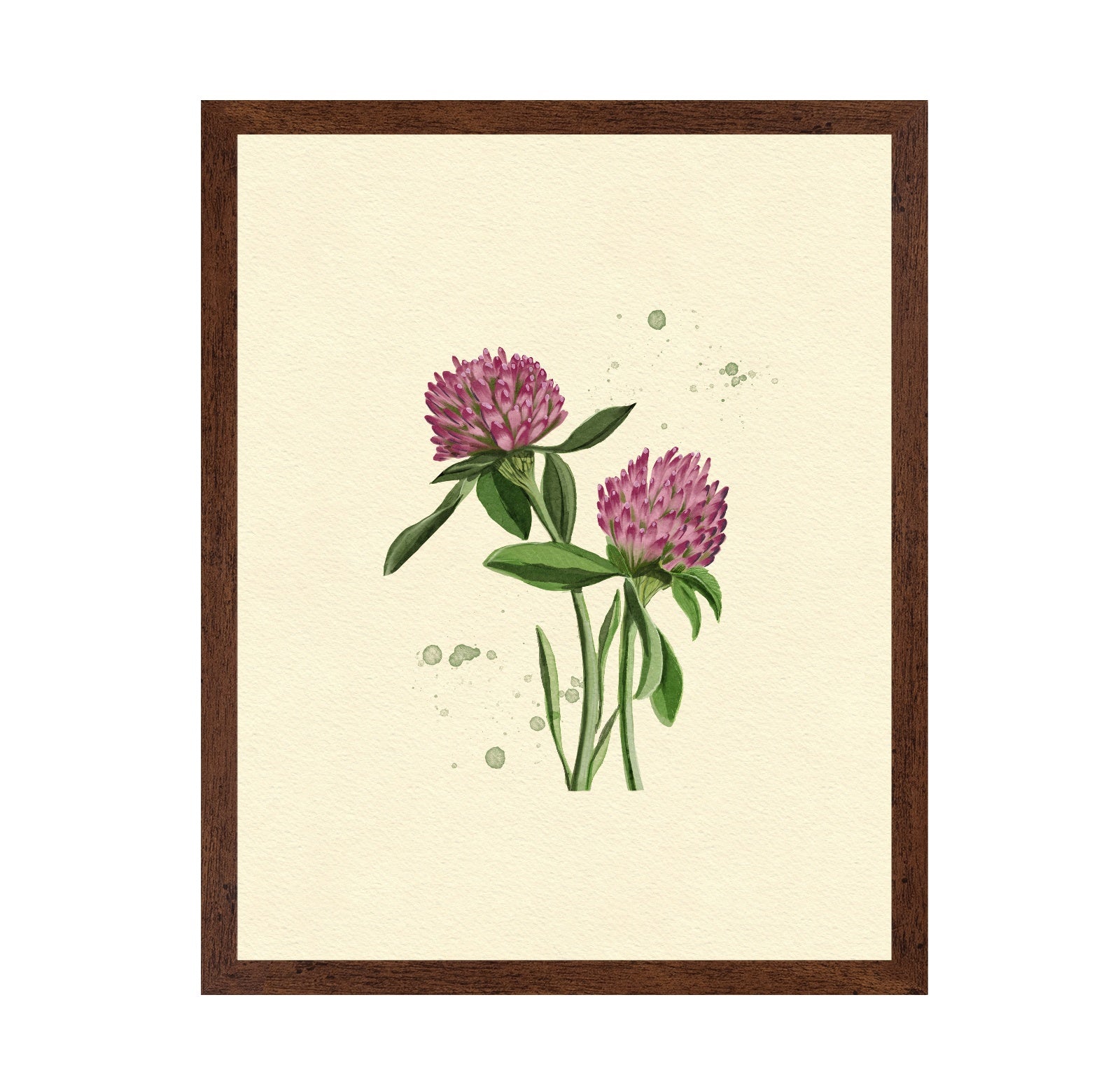Red Clover