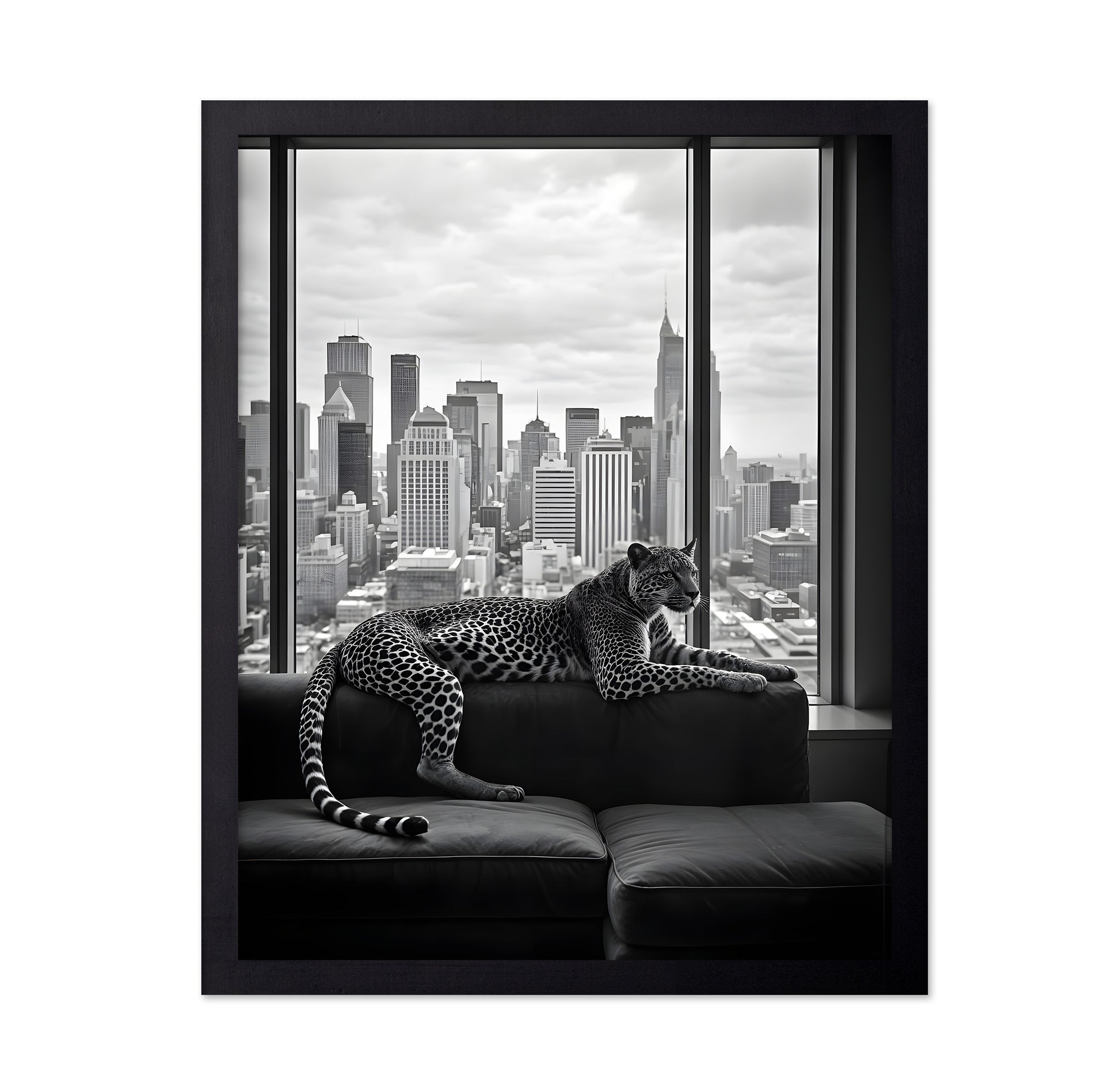 Leopard in the City