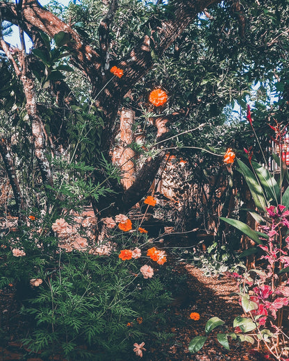 Garden Archives