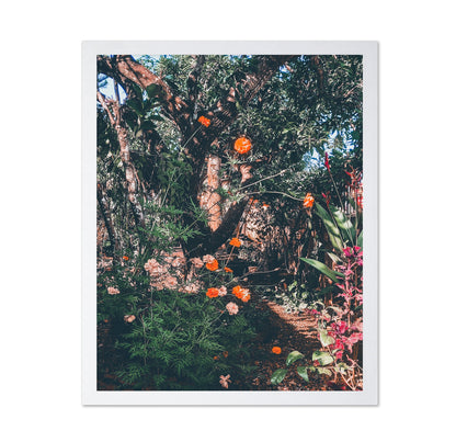Garden Archives