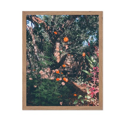 Garden Archives