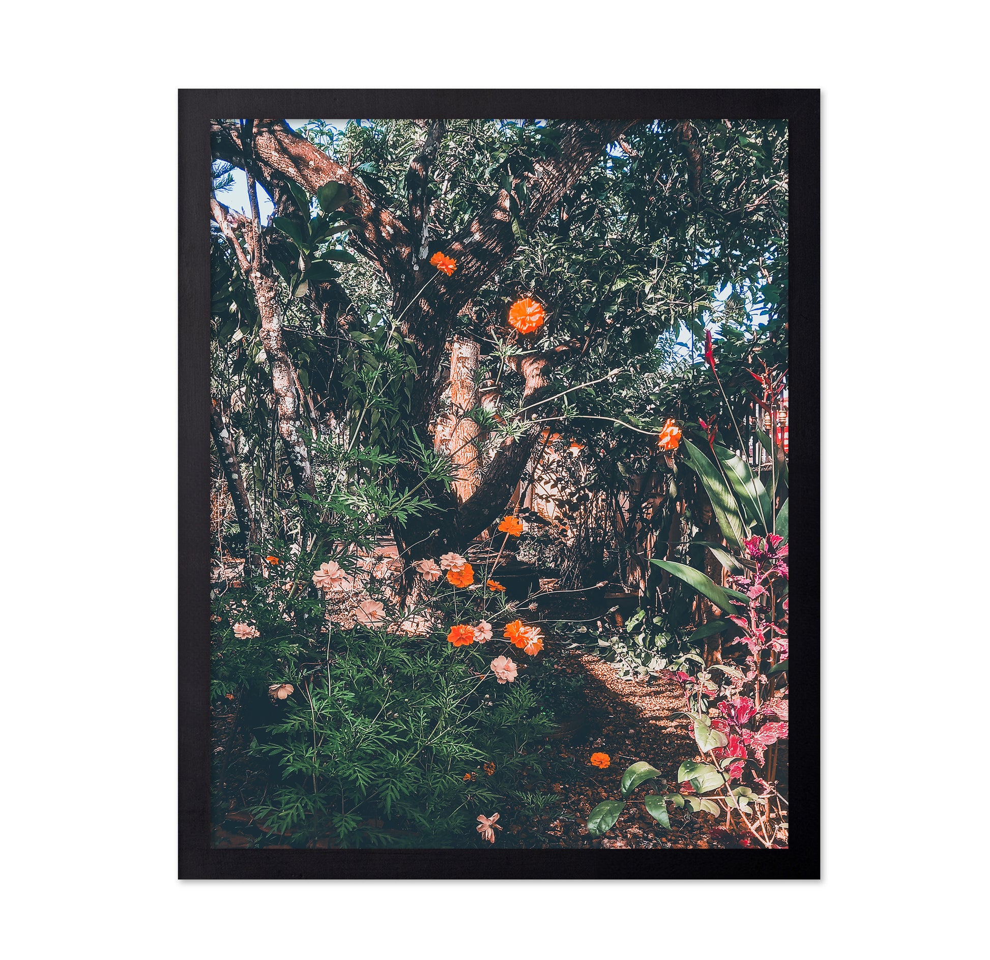 Garden Archives