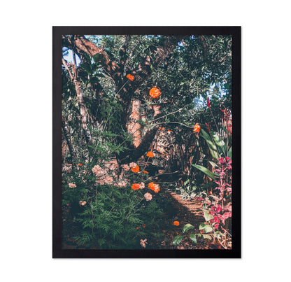 Garden Archives
