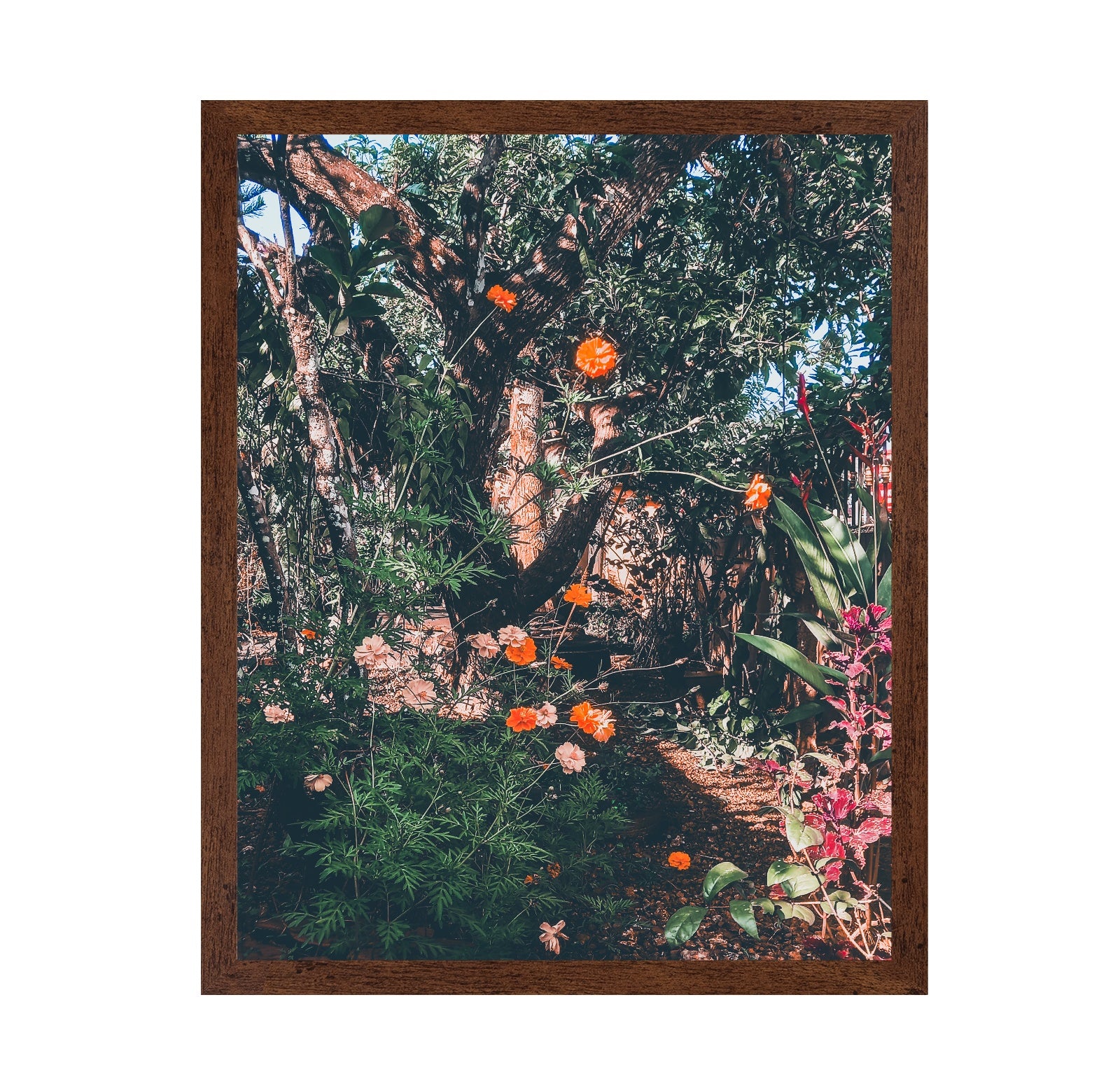 Garden Archives