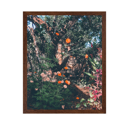 Garden Archives