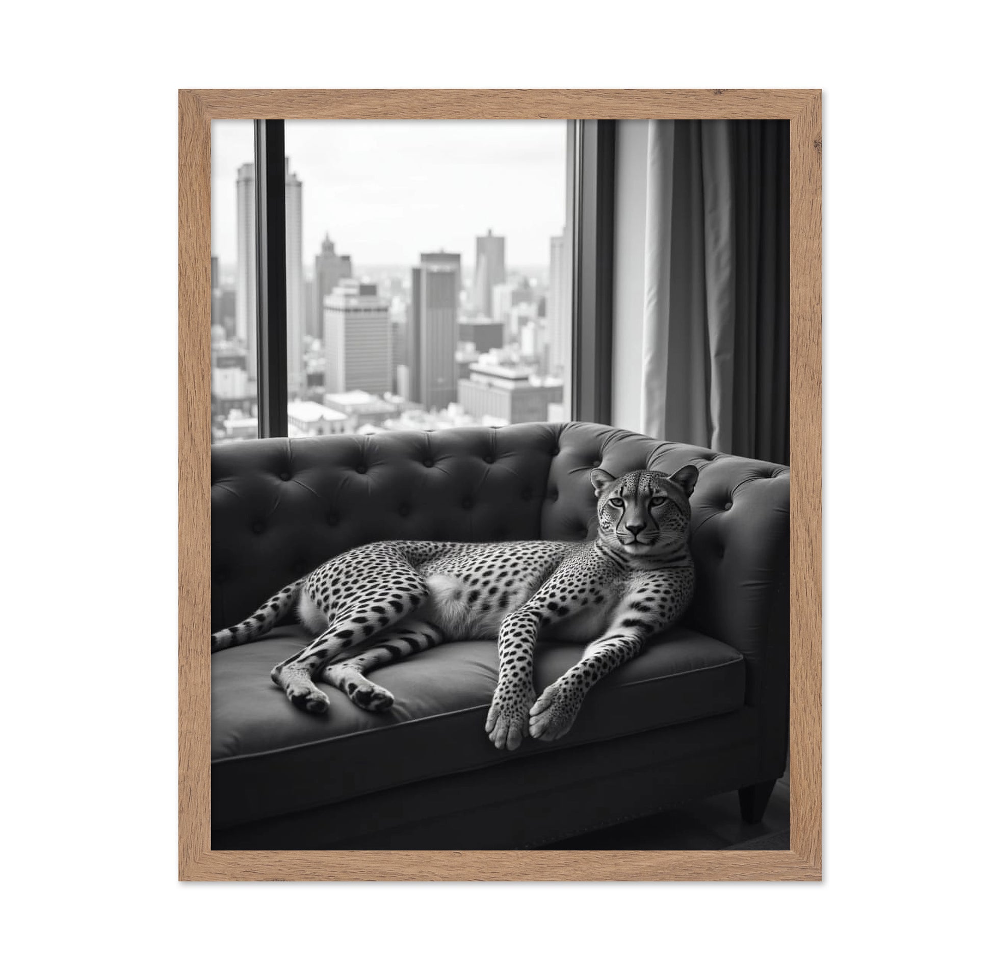 Cheetah on the Sofa